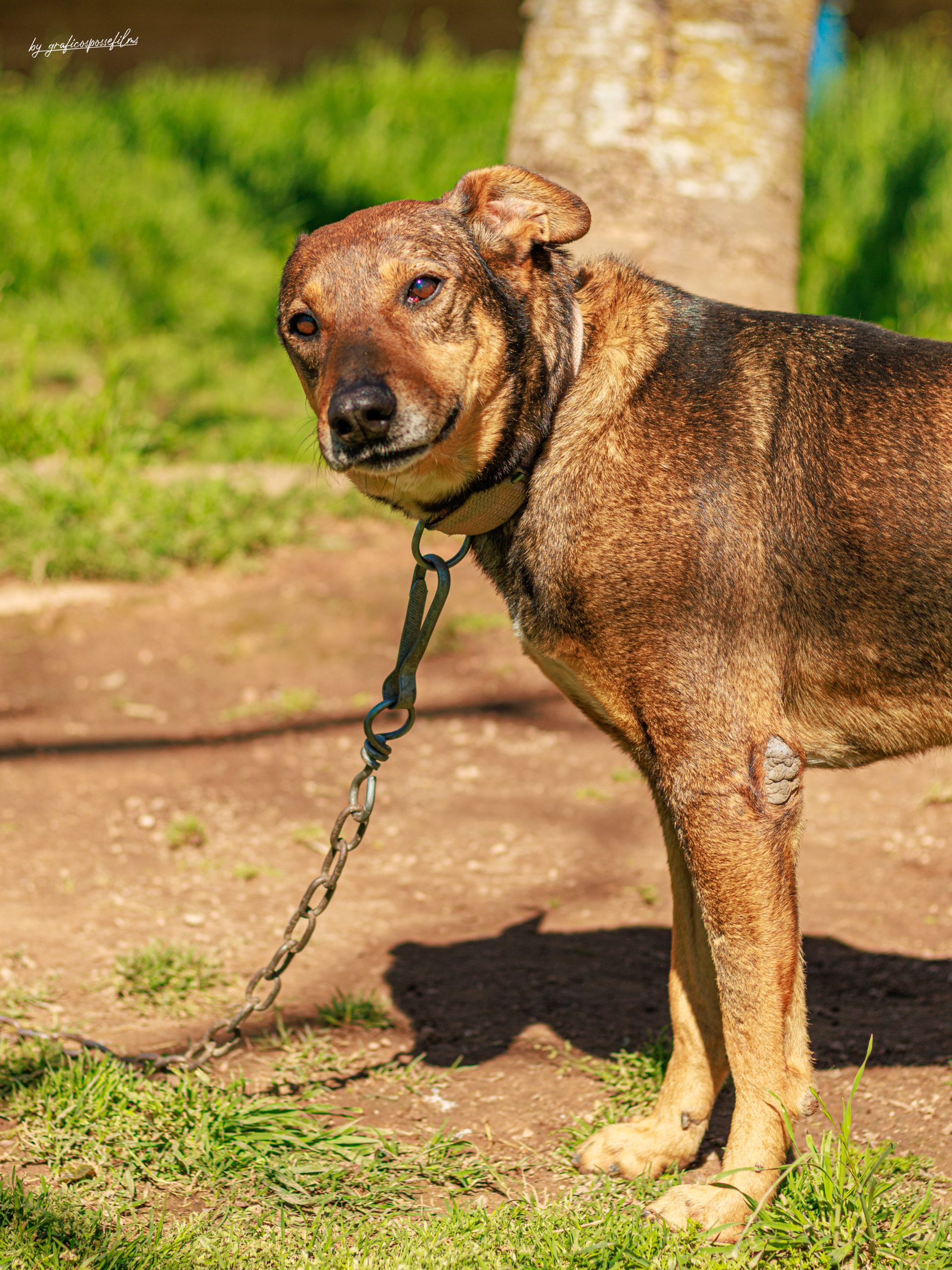 "SICARIO" - Imagen 2