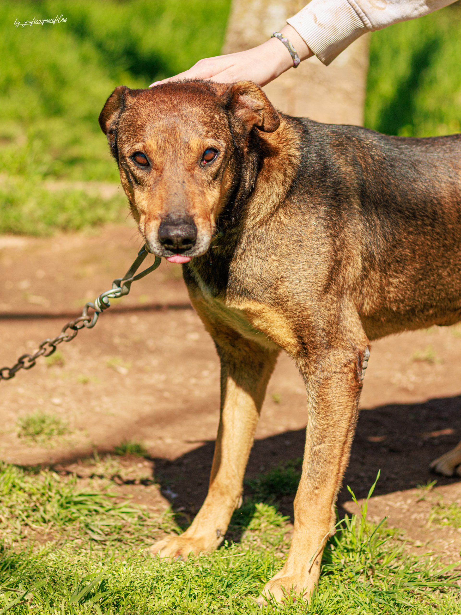 "SICARIO" - Imagen 3