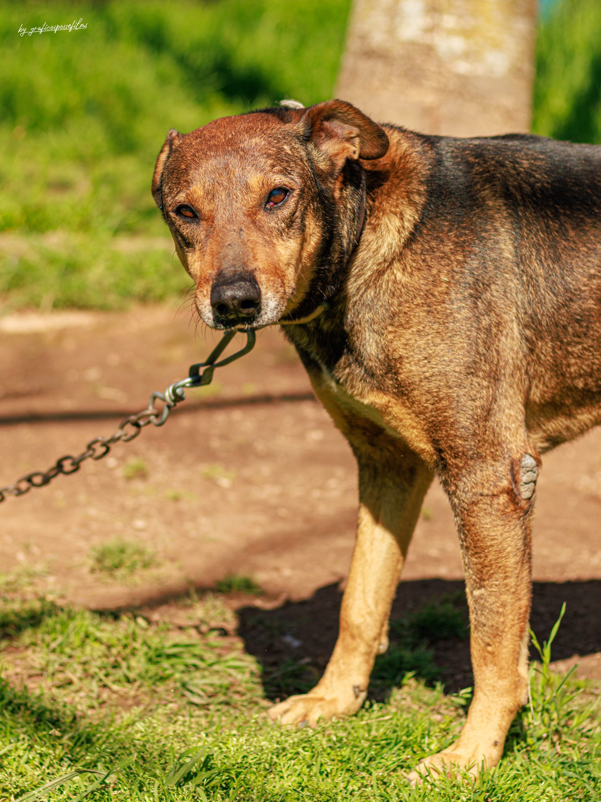 "SICARIO" - Imagen 4